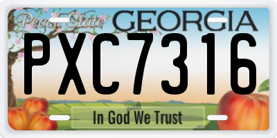 GA license plate PXC7316