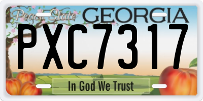 GA license plate PXC7317