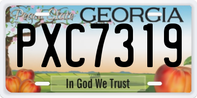 GA license plate PXC7319