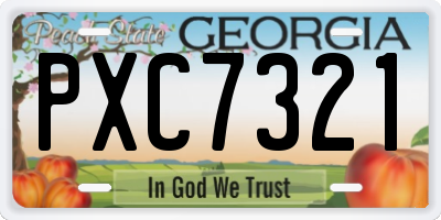 GA license plate PXC7321