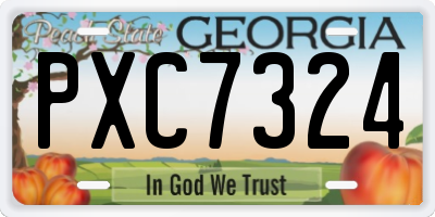 GA license plate PXC7324