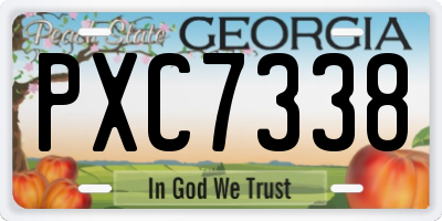 GA license plate PXC7338