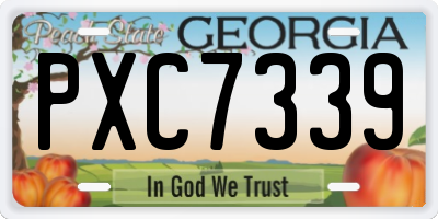 GA license plate PXC7339