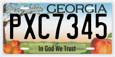 GA license plate PXC7345