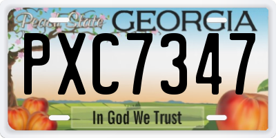 GA license plate PXC7347