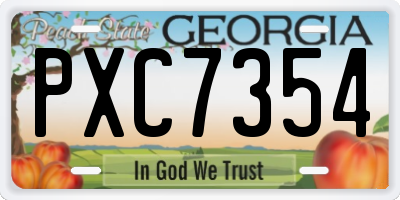 GA license plate PXC7354