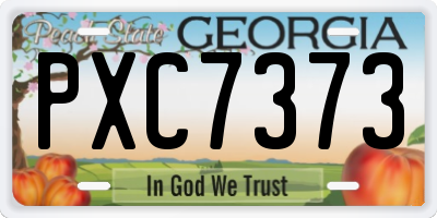 GA license plate PXC7373