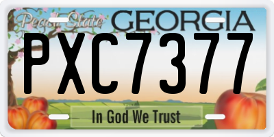 GA license plate PXC7377