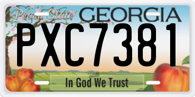 GA license plate PXC7381