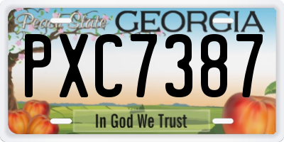 GA license plate PXC7387