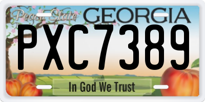 GA license plate PXC7389