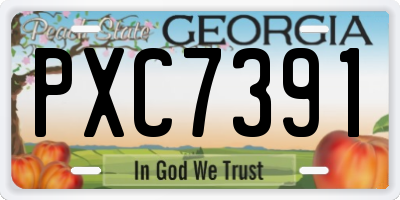 GA license plate PXC7391