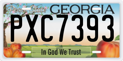 GA license plate PXC7393