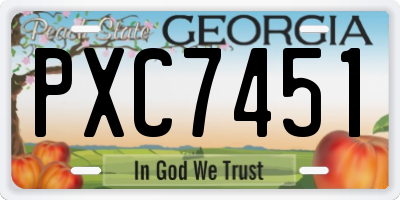 GA license plate PXC7451