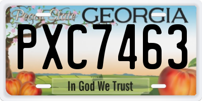 GA license plate PXC7463