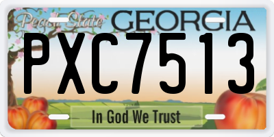 GA license plate PXC7513
