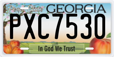 GA license plate PXC7530