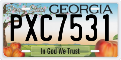 GA license plate PXC7531