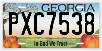 GA license plate PXC7538