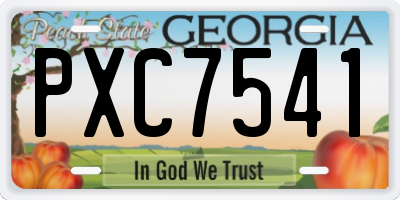 GA license plate PXC7541