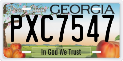 GA license plate PXC7547