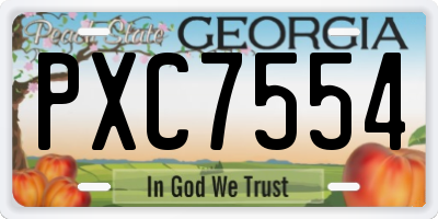 GA license plate PXC7554
