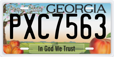 GA license plate PXC7563