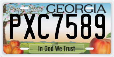 GA license plate PXC7589