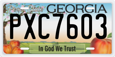 GA license plate PXC7603