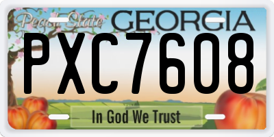 GA license plate PXC7608