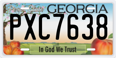 GA license plate PXC7638