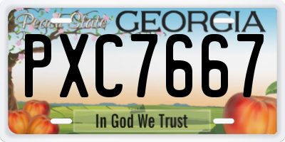 GA license plate PXC7667