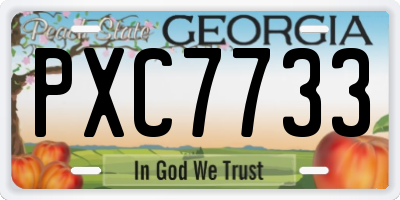GA license plate PXC7733