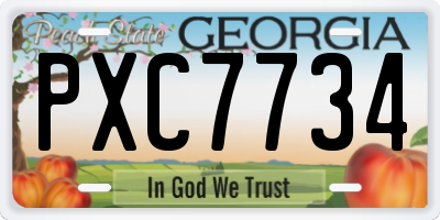 GA license plate PXC7734