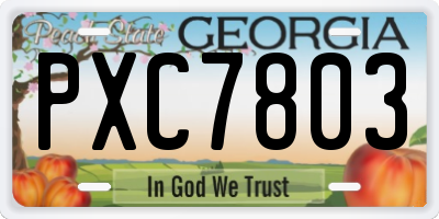GA license plate PXC7803
