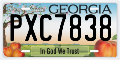 GA license plate PXC7838