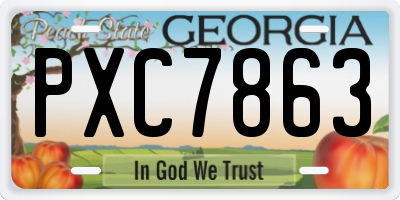 GA license plate PXC7863