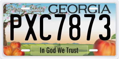 GA license plate PXC7873