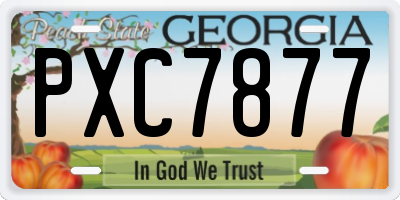 GA license plate PXC7877