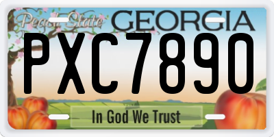 GA license plate PXC7890