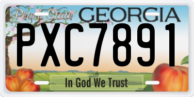 GA license plate PXC7891