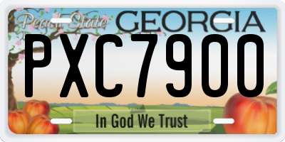 GA license plate PXC7900