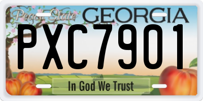 GA license plate PXC7901