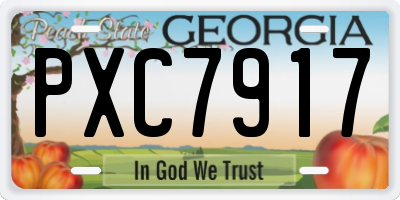 GA license plate PXC7917