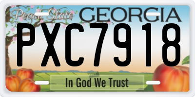 GA license plate PXC7918