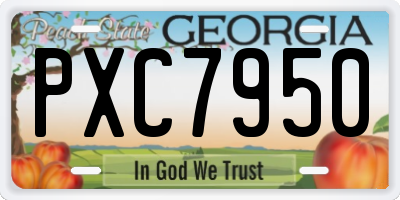 GA license plate PXC7950