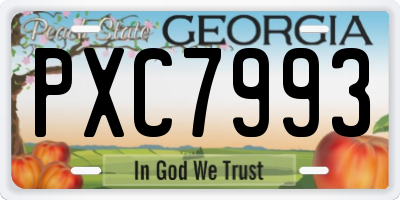 GA license plate PXC7993