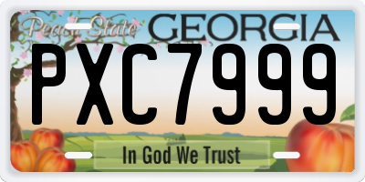 GA license plate PXC7999