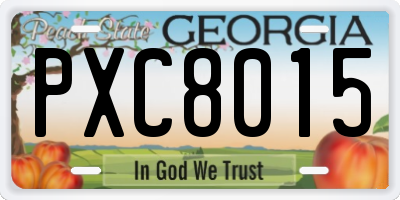 GA license plate PXC8015