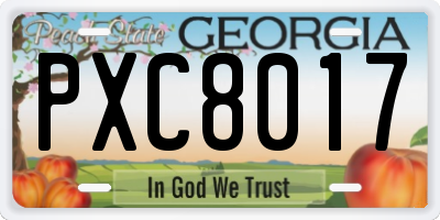 GA license plate PXC8017